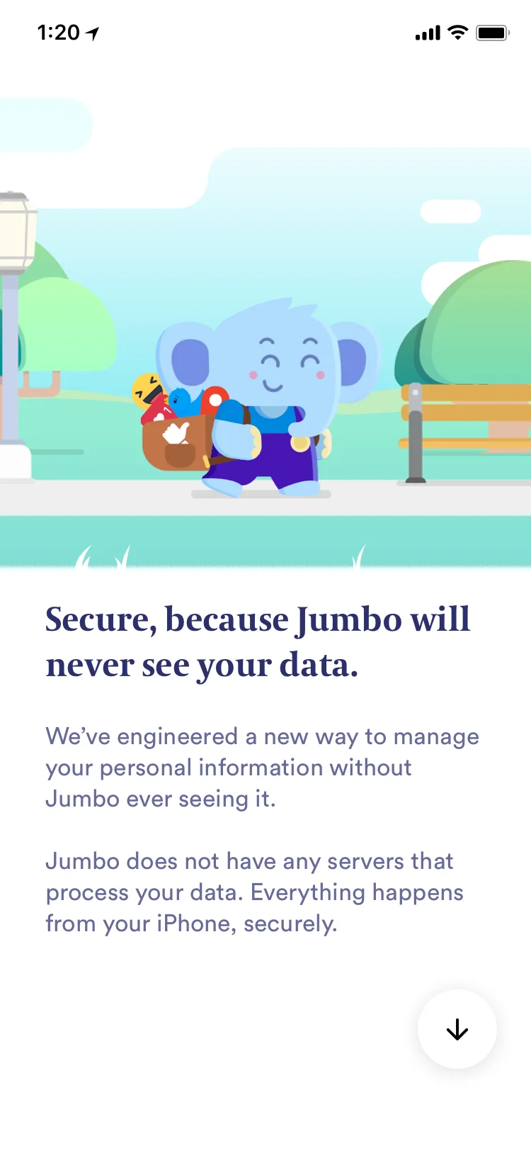 Secure, because Jumbo will never see your data