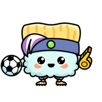handysport football